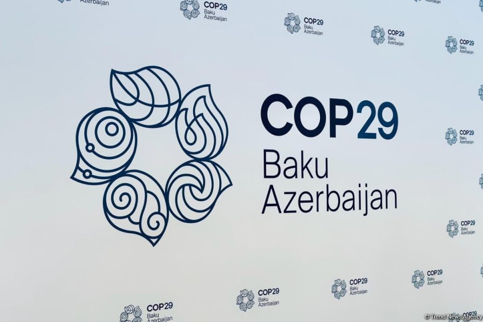 media-cop29