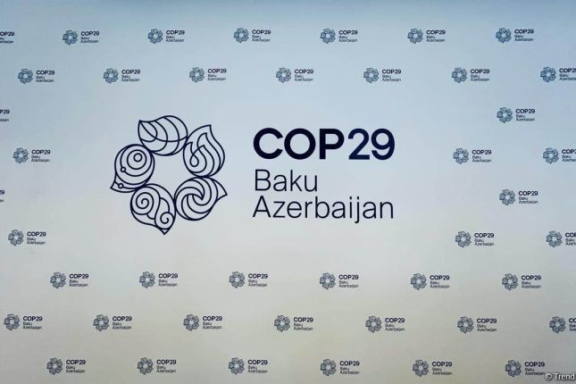 media-cop29