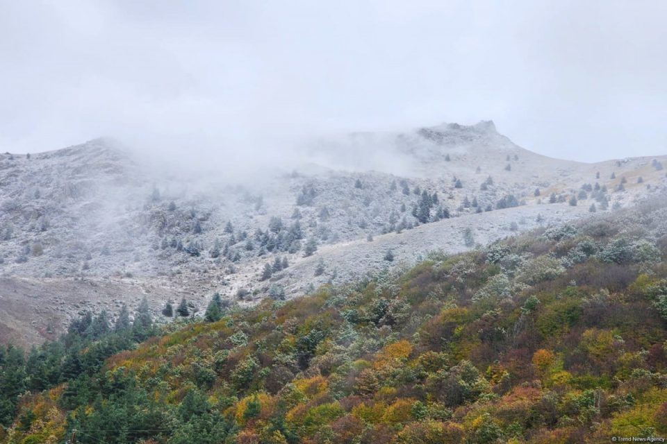 media-qarli-hava