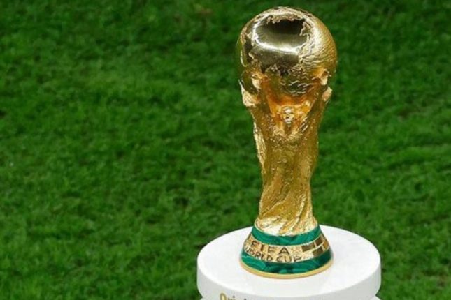 media-2686-_dnya_empionatnn_kuboku
