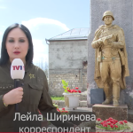 media-leyla-diplom-3