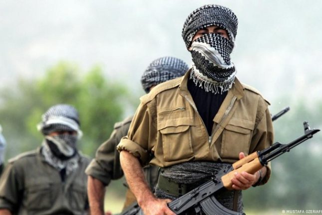 media-pkk-8
