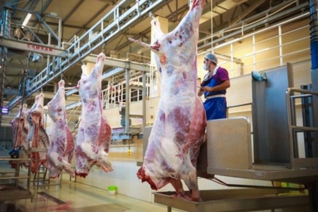 media-qurbanliq