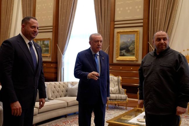 media-erdogan-yermak