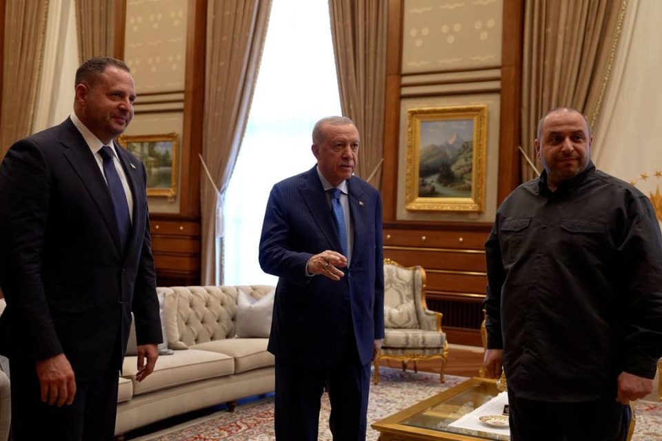 media-erdogan-yermak