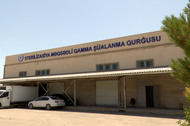 media-qamma-1