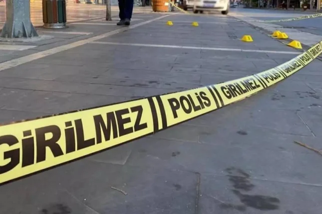 media-polis