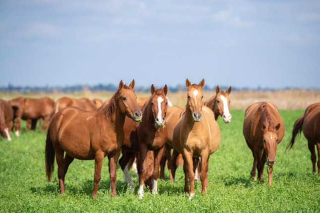 media-snimok-yekrana-2025-10-03-172625