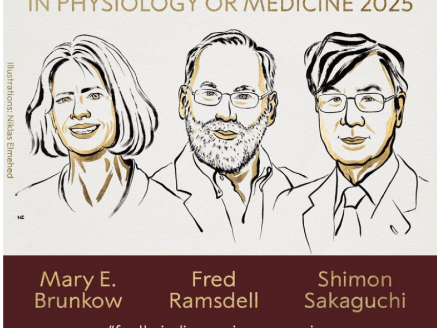 media-snimok-yekrana-2025-10-06-142808