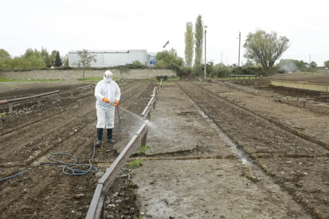 media-heyvan-bazarlari