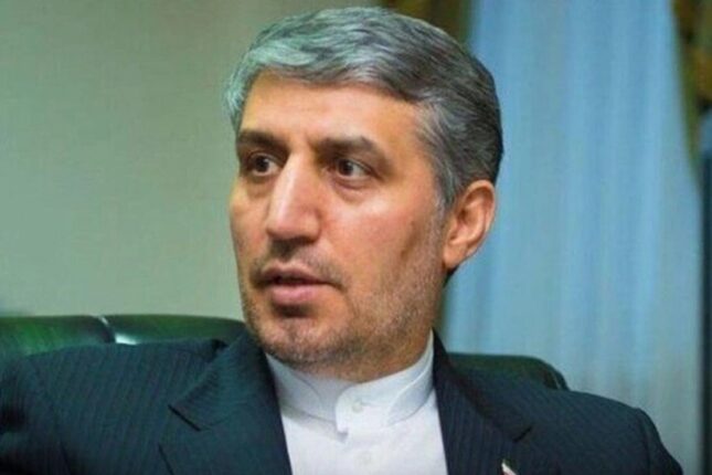 media-mucteba-demircilu