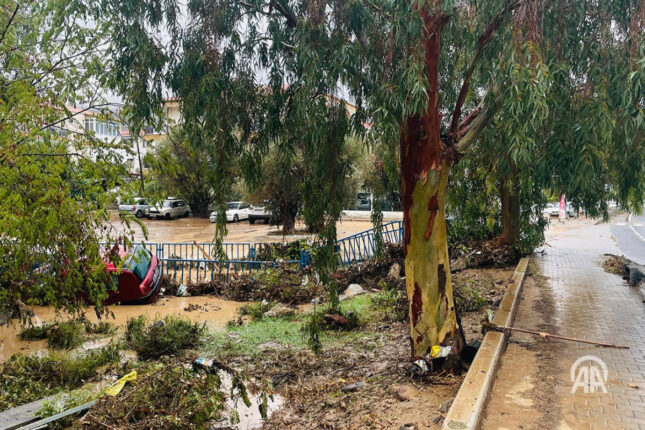 media-turkiye-leysan