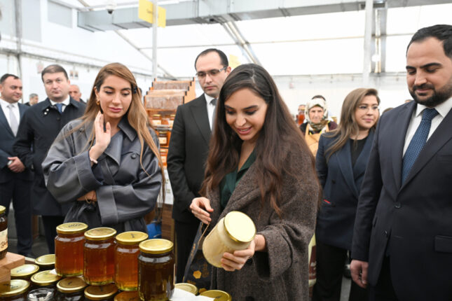 media-leyla-ve-arzu-eliyeva