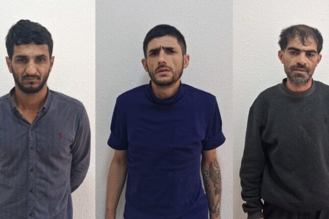 media-bineqedi-deleduzluq