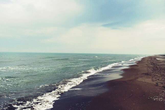 media-xezer_denizi_logo