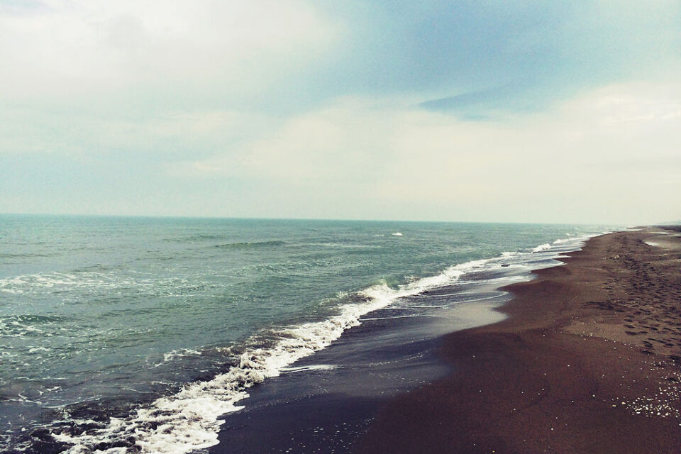 media-xezer_denizi_logo