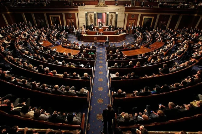 media-numayendeler-palatasi