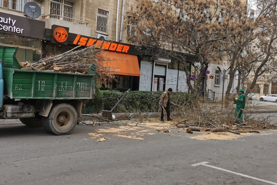 media-whatsapp-image-2025-12-31-at-11-04-43