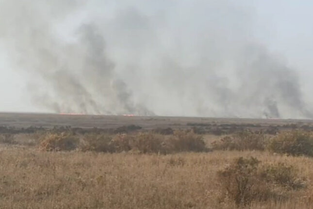 media-celllllaaabbbb