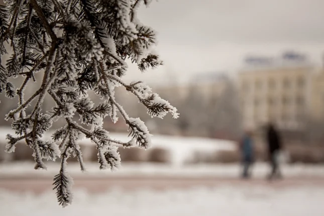 media-hava_saxtali_1200