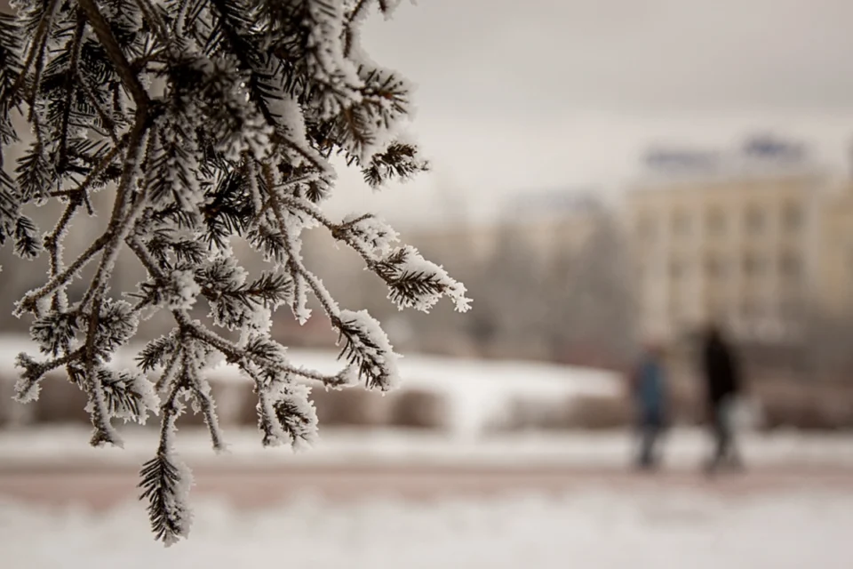 media-hava_saxtali_1200