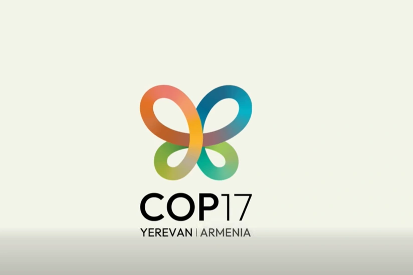 media-cop17
