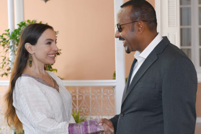 media-leyla-bas-nazir