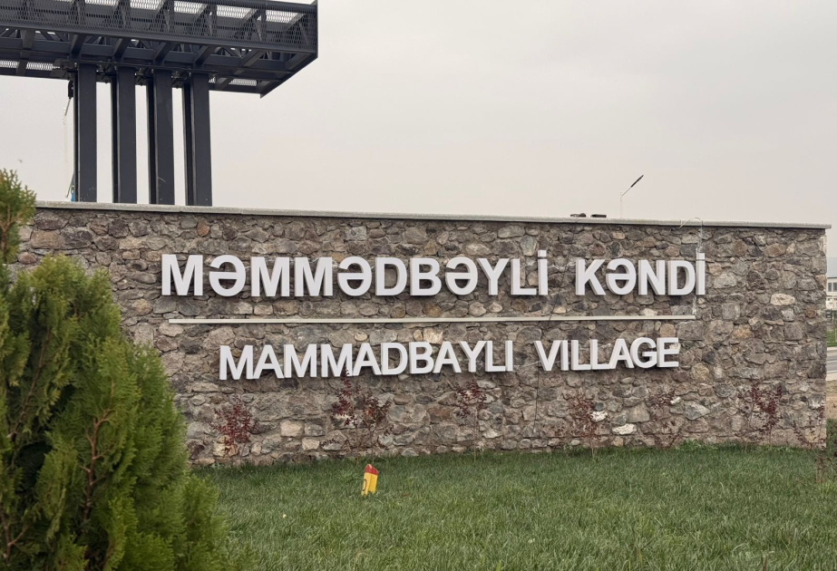 media-memmedbeyli-k