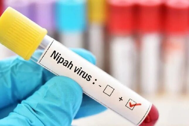 media-nipah-virus