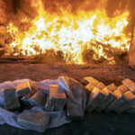 Gömrükdə götürülmüş 52 milyon manatlıq narkotik məhv edilib