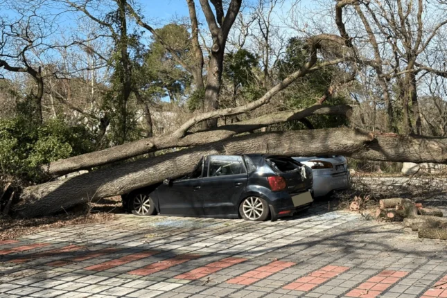 media-fransa-qasirga