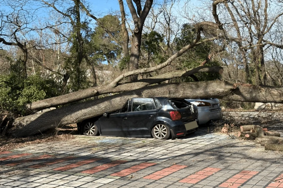 media-fransa-qasirga