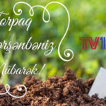 media-torpaq