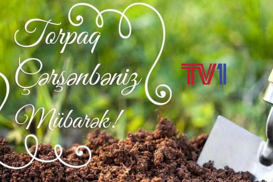 media-torpaq