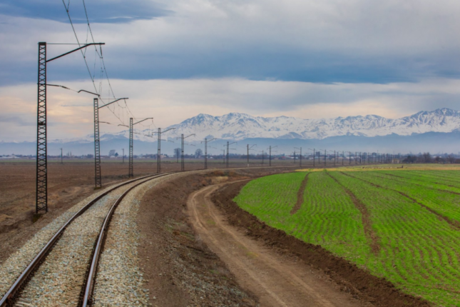 media-gence-alabashli