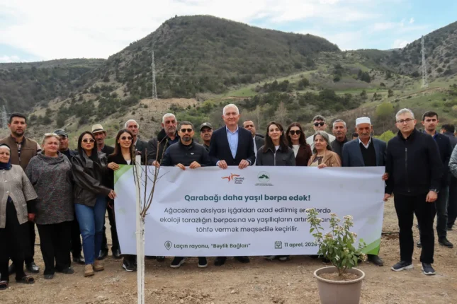 media-lacin-beylik-baglari