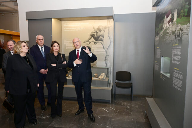 media-mehriban-89999