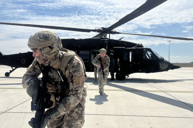 media-anadolu-ankasi