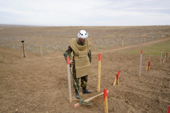 media-mina_fhn_anama1