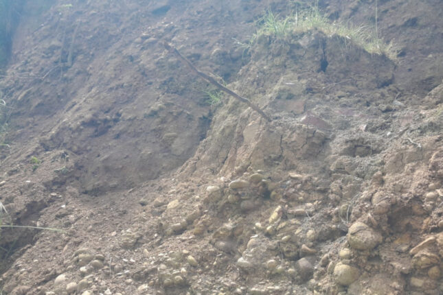 media-torpaq-surushmesi