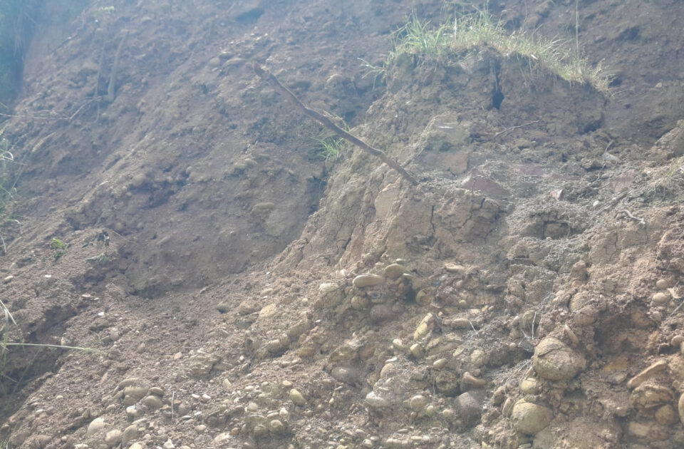 media-torpaq-surushmesi