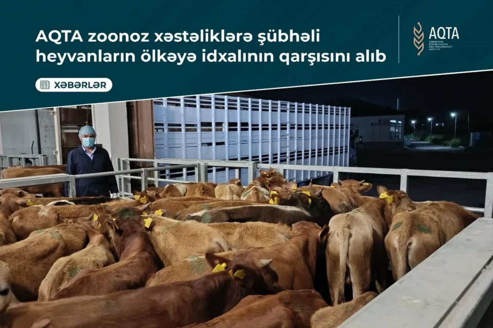 media-aqata