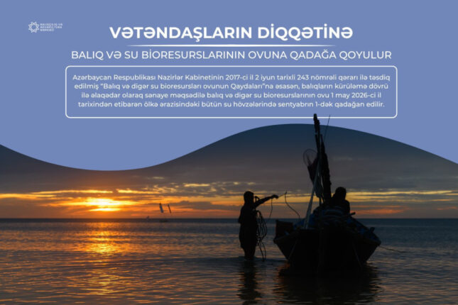 media-baliqciliq