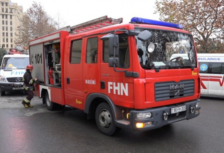 media-fhn
