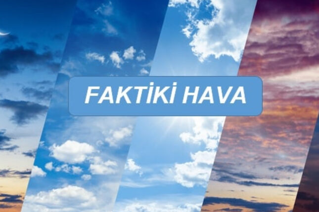 media-faktiki-hava