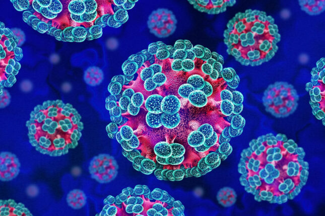 media-hantavirus
