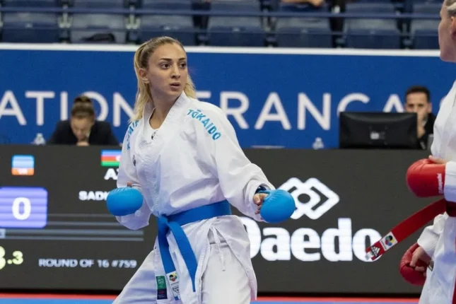 media-karate-medine