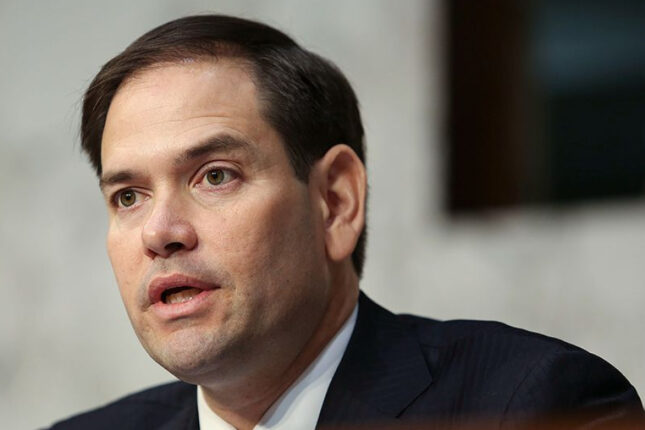 media-rubio