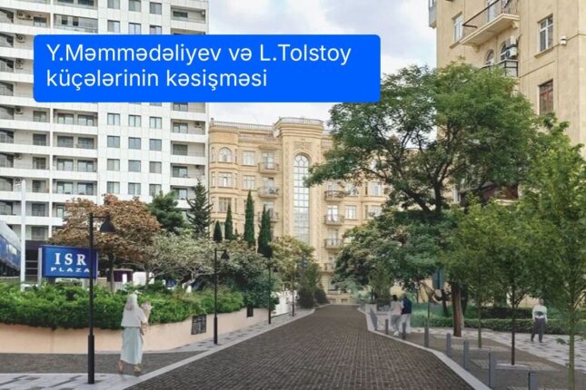 media-tolstoy
