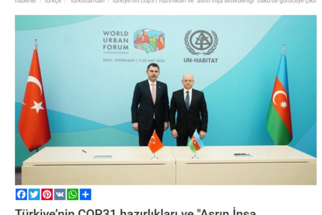 media-vuff-dm